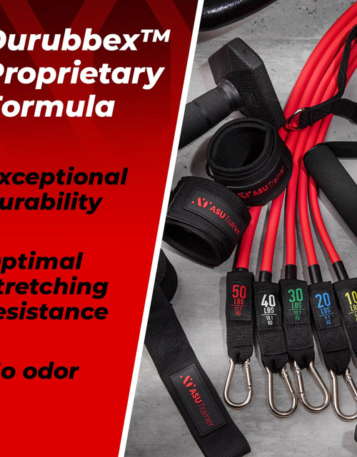 Load image into Gallery viewer, Resistance Bands Tube Workout Bands with Handles Ankle Straps and Door Anchor 5 Exercise Bands
