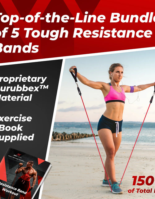 Load image into Gallery viewer, Resistance Bands Tube Workout Bands with Handles Ankle Straps and Door Anchor 5 Exercise Bands
